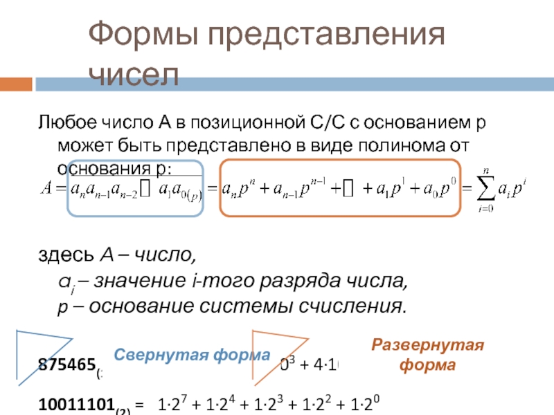 Виды представления чисел. Представление числа в виде полинома. Позиционное представление чисел.. Формы представления чисел.