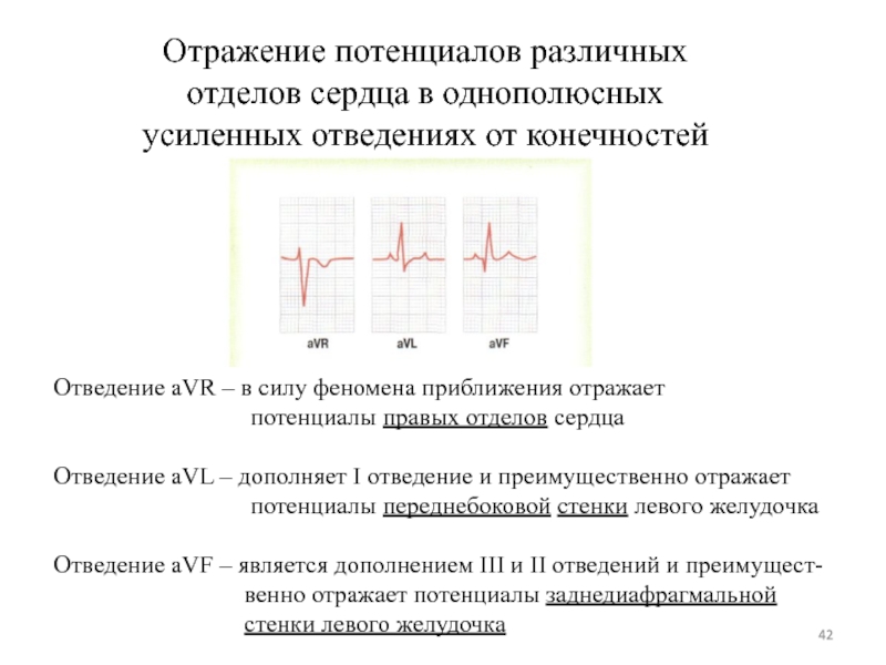 Экг потенциалы