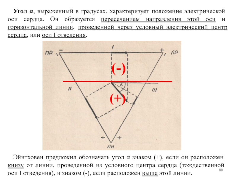 Какое положение характеризующее. Нейтральная линия сечения образуется пересечением. Электрическая ось сердца 58 градусов. Какие стороны образуют угол электр оси сердца.