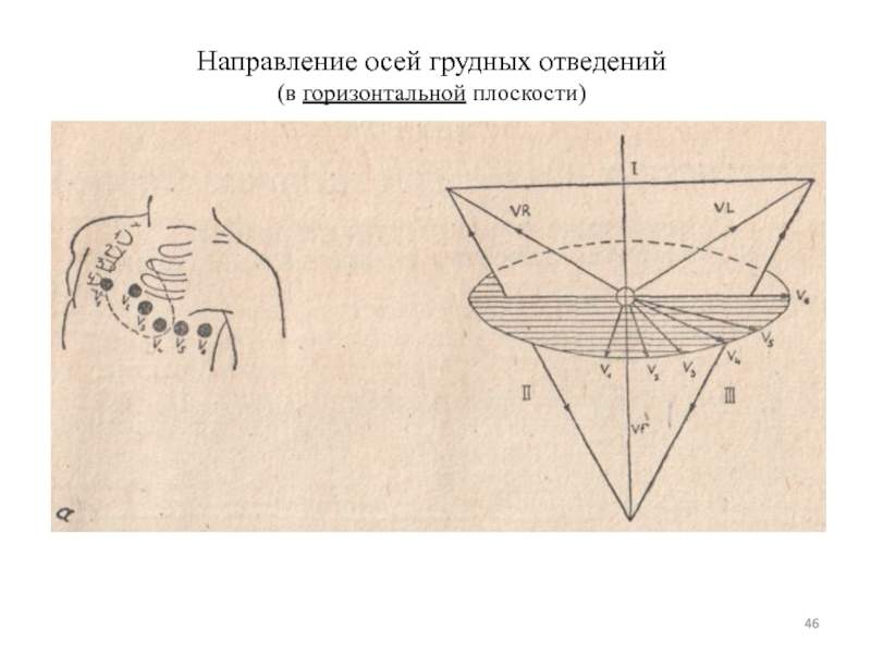 Направление осей. Оси грудных отведений. Расположение осей 6 грудных отведений в горизонтальной плоскости. Направление оси. Отведение в горизонтальной плоскости.