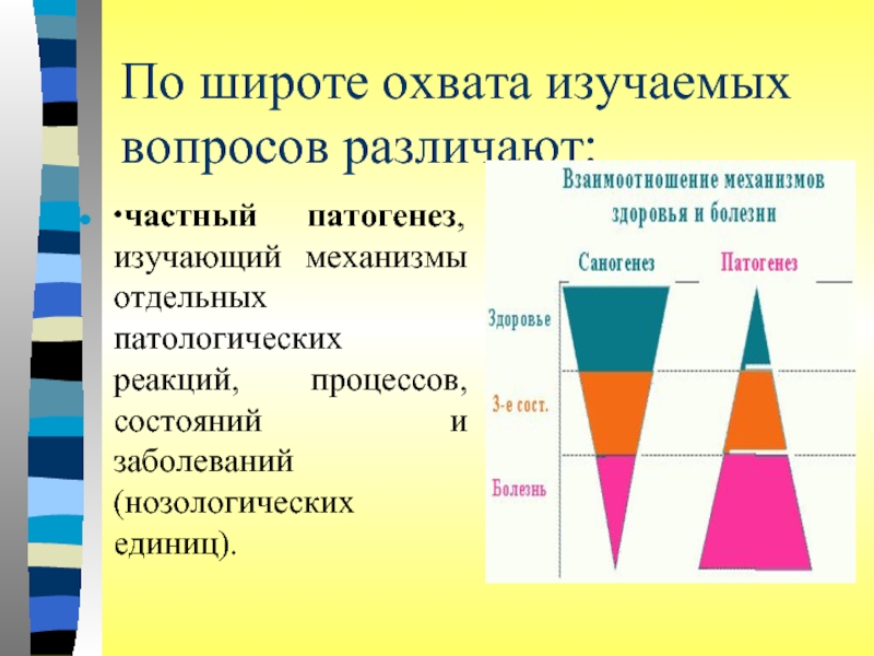 Течением времени использование. По широте охвата различают:. Сети по широте охвата пользователей. По широте охвата содержания проекты делятся на. Широта охвата содержания проекта.