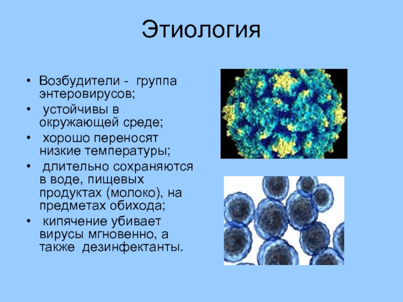 Группы микобактерий