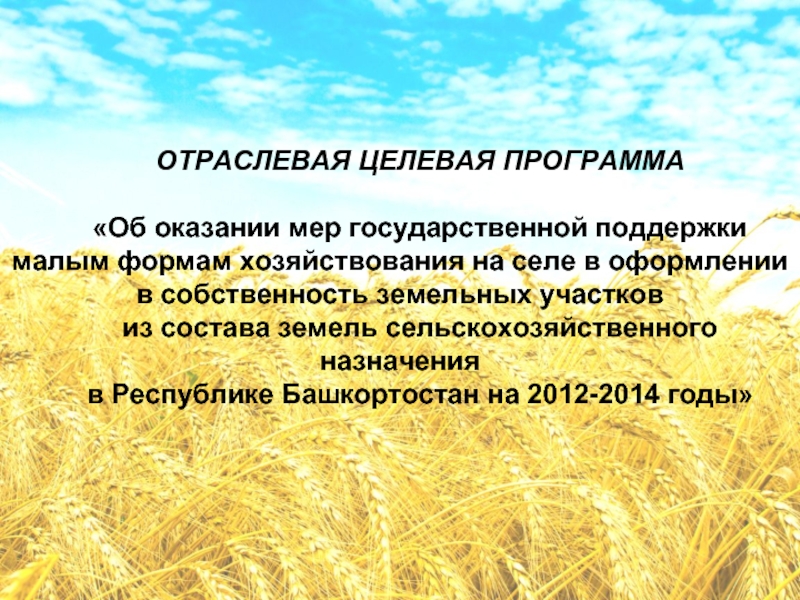 Рабочая программа растениеводство. Малые формы хозяйствования в сельском хозяйстве критерии. Малые формы хозяйствования. Малые формы хозяйствования в сельском хозяйстве это. Значение малых форм хозяйствования.