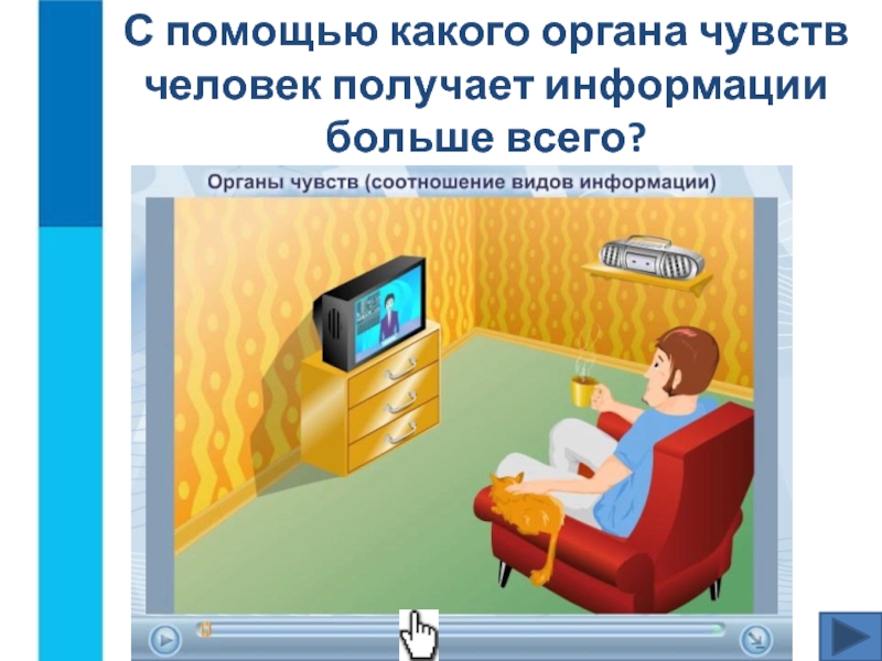 С помощью каких органов человек получает информацию. С помощью каких органов чувств человек получает информацию. С помощью какого органа человек больше всего получает информацию?. С помощью каких видов чувств человек может получать информацию.