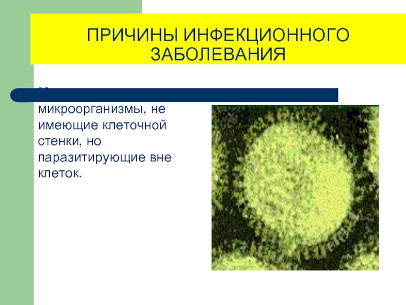 Презентация на тему кровяные инфекции