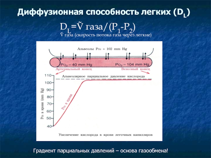 V газы