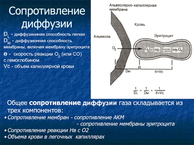 Способность к диффузии проектов