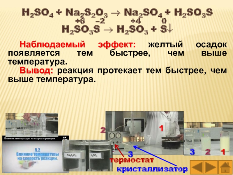 Вывод реакция. H2so3 желтоватый осадок. Эффект наблюдать. Na2s2o3 h2so4. Чем выше температура тем быстрее скорость реакции.