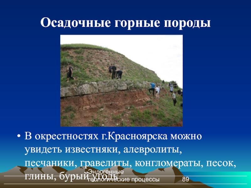 Эндогенные геологические процессы Осадочные горные породы В окрестностях г.Красноярска можно увидеть известняки,