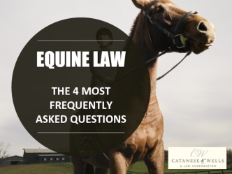 EQUINE LAW
 
THE 4 MOST FREQUENTLY ASKED QUESTIONS