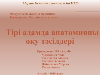 Тірі адамда анатомияны оқу тәсілдері