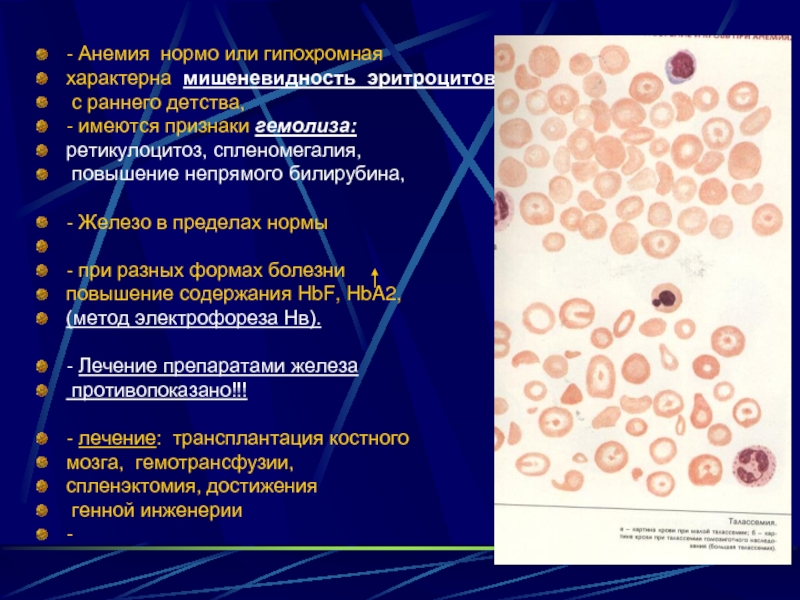 Гипохромия и гиперхромия. Гемолиз эритроцитов при гемолитической анемии. Апластическая анемия микроцитоз. Гиперхромная анемия показатели крови.