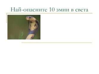 Най-опасните 10 змии в света