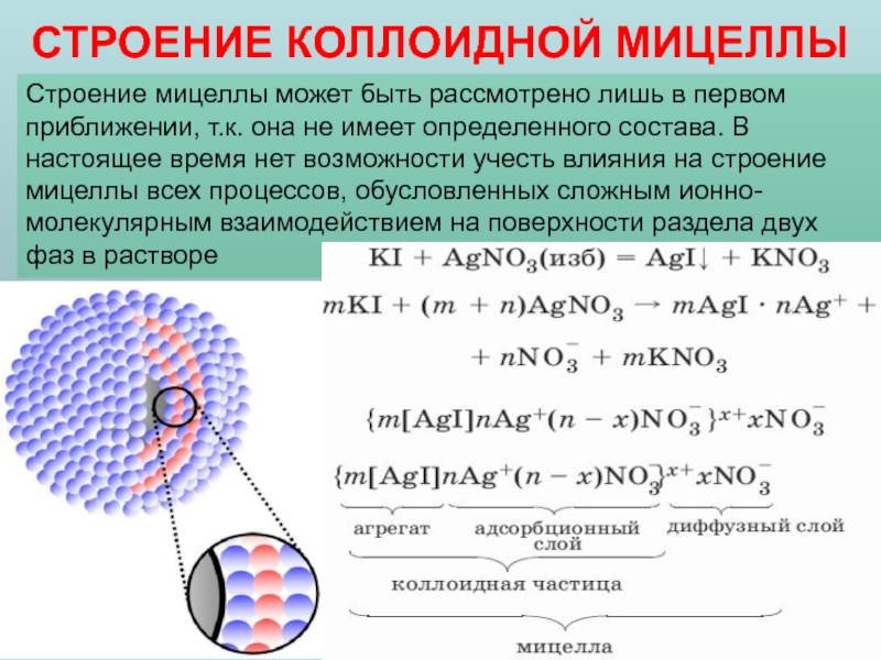 Схема строения коллоидной частицы