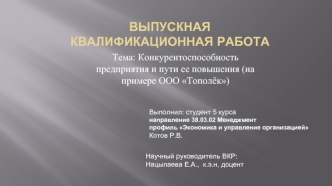 Конкурентоспособность предприятия и пути ее повышения (на примере ООО Тополёк)