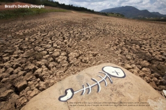Brazil's Deadly Drought