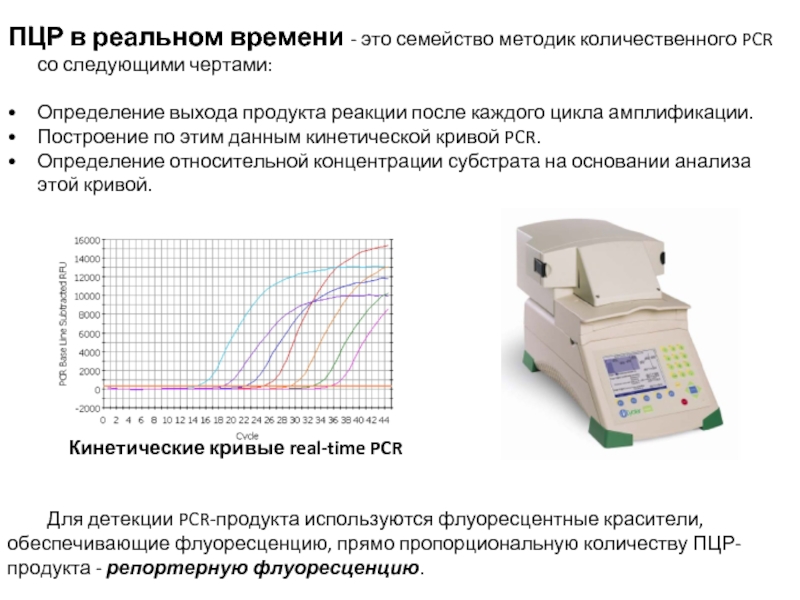 Пцр в реальном времени картинка