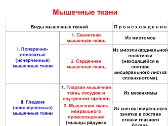 Мышечные ткани. Виды мышечных тканей