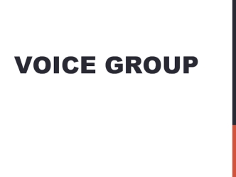 VOICE Group. Выбранные приоритеты