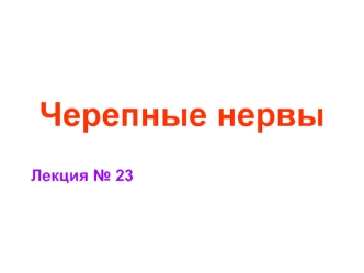 Черепные нервы