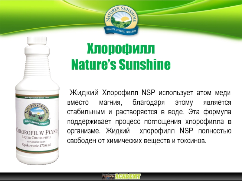 Польза жидкого хлорофилла отзывы. Хлорофилл жидкий НСП. Хлорофилл жидкий natures Sunshine. Хлорофилл от NSP. Зелёный хлорофилл НСП.