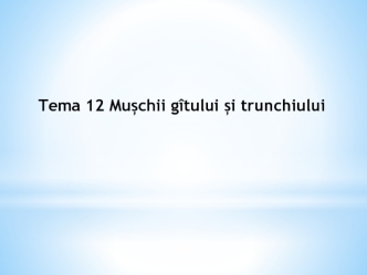 Mușchii gîtului și trunchiului