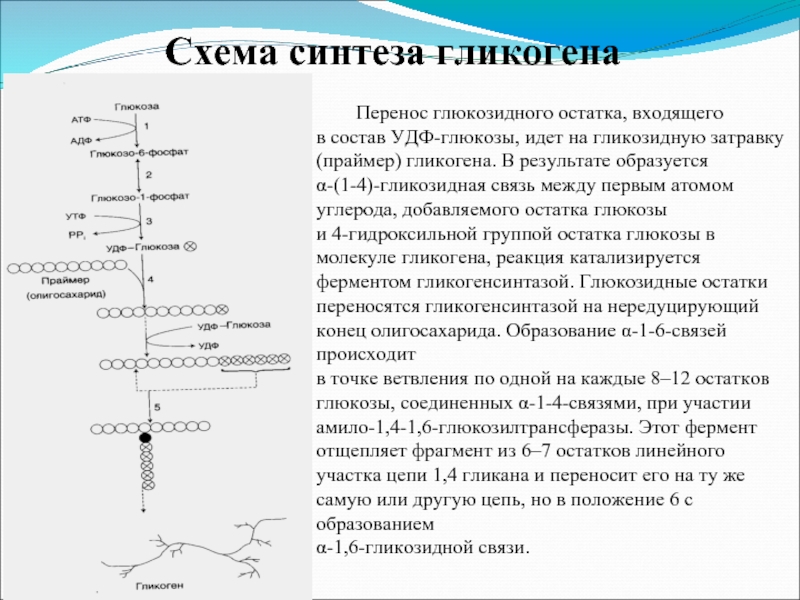 Первый искусственный синтез углеводов схема