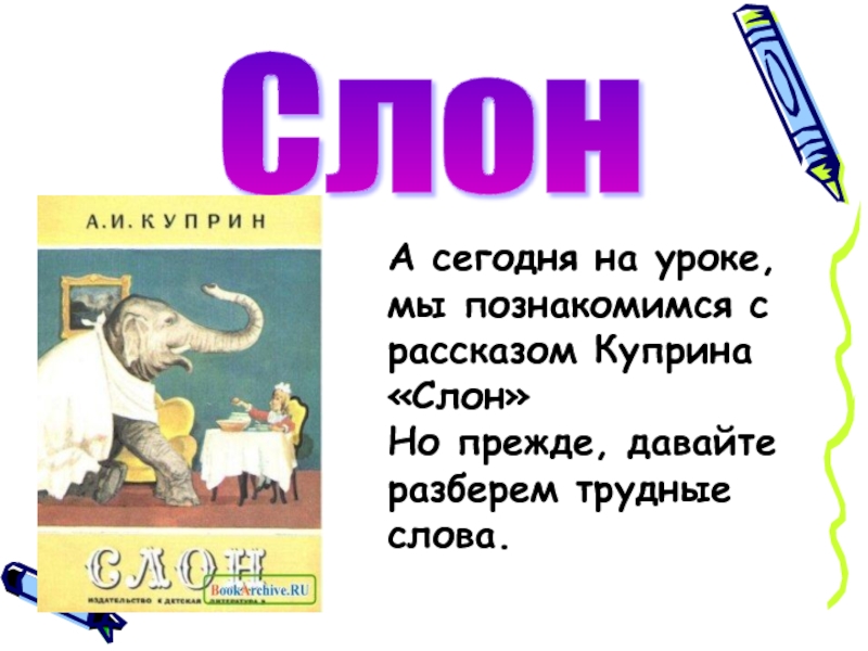 Слон А сегодня на уроке, мы познакомимся с рассказом Куприна «Слон»Но