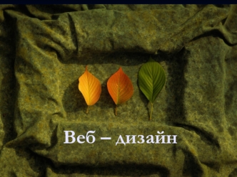 Веб – дизайн