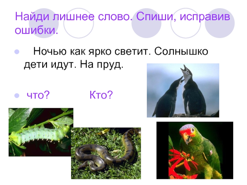 Найди лишнее слово. Спиши, исправив ошибки. Ночью как ярко светит. Солнышко дети идут. На пруд.