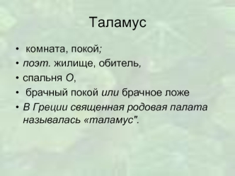 Таламус. Ядра таламуса