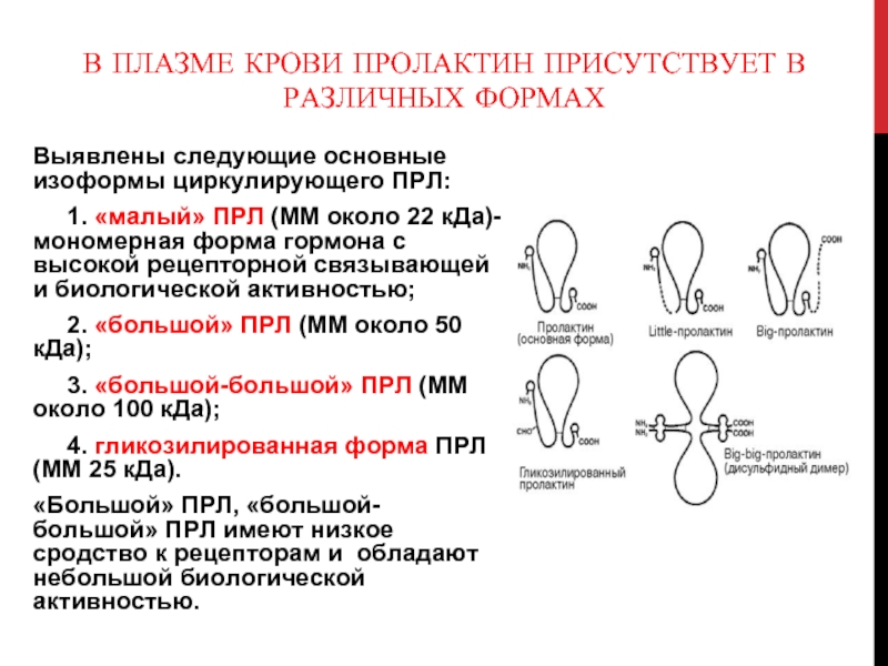 Выделение пролактина. Формы пролактина. Пролактин структура. Пролактин формула. Изоформы пролактина.