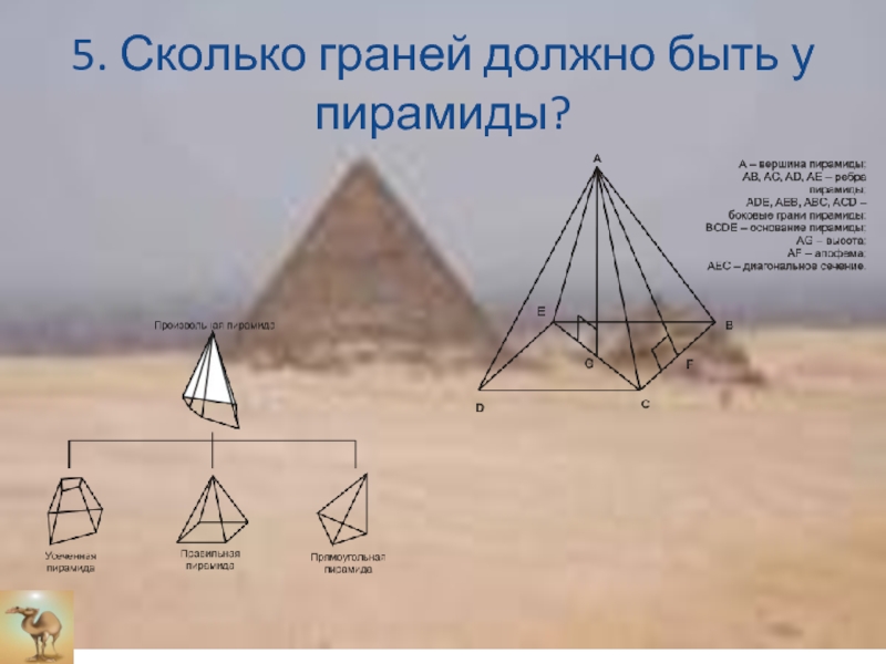 Пирамида 5 вершин. Сколько граней у пирамиды. Сколько граней у египетской пирамиды. Пирамида с 5 гранями. Число граней у пирамиды.