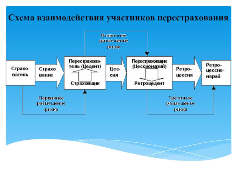 Участники страхования схема