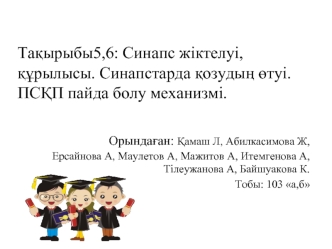 Синапс жіктелуі, құрылысы. Синапстарда қозудың өтуі. ПСҚП пайда болу механизмі