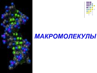 Макромолекулы. Биологии человека