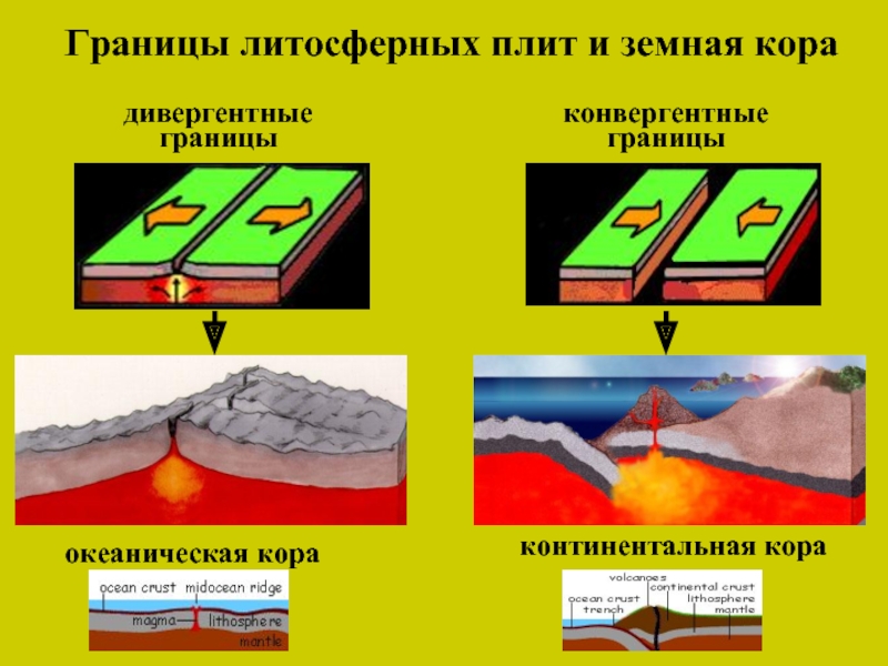 На рисунке показаны процессы происходящие на границе двух литосферных плит