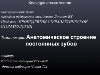 Анатомическое строение постоянных зубов