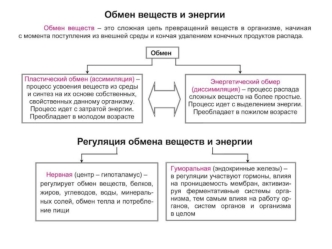 Обмен веществ и энергии. Фотосинтез