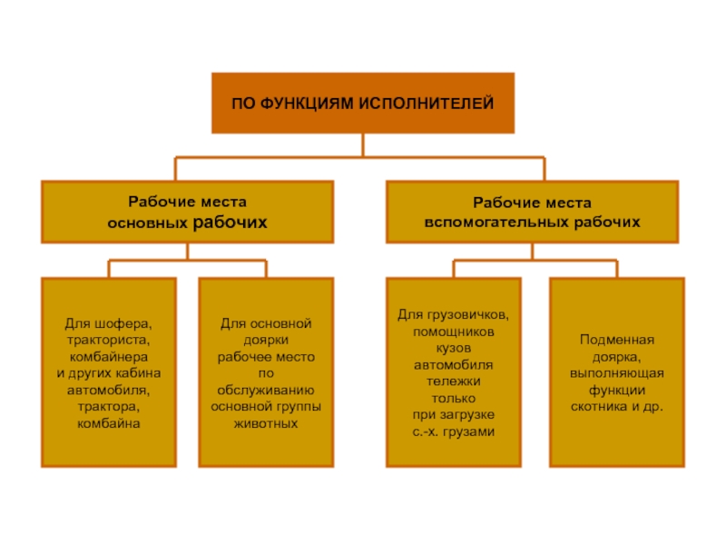 Классификация мест. Основные рабочие места. Функционал рабочего места. Функции организации рабочего места. Виды классификаций рабочих мест.