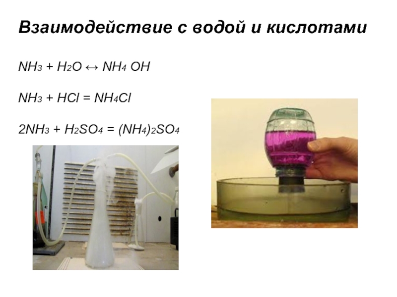 Взаимодействие nh3 с кислотами. Nh4 в воде. Nh4cl взаимодействие с кислотами. 2nh3+h2so4. H3po4 hcl nh3