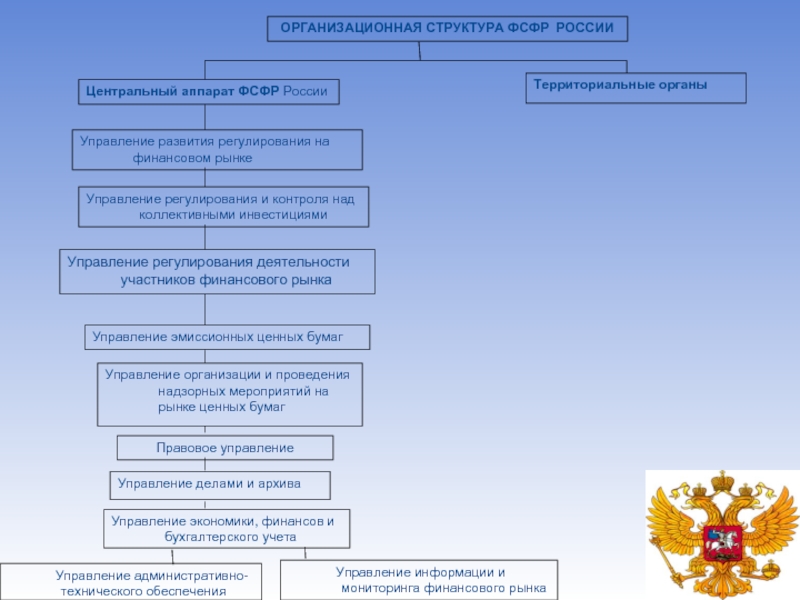 Федеральная служба финансового регулирования. Структура ФСФР. Структура ФСФР России. Территориальные органы управления. Организационная структура центрального аппарата.