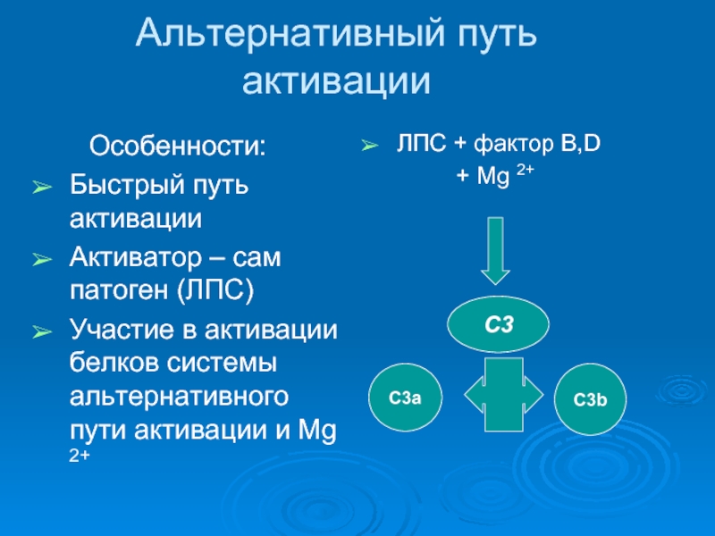 Система быстрый путь. Альтернативный путь. Альтернативный ПУТЬПУТЬ. Альтернативный путь активации. Активационный комплекс альтернативного пути.