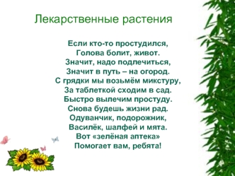 Лекарственные растения