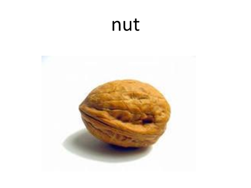 Как переводится nut. Nut карточка на английском. Орехи англ яз. Орехи на англ. Орешки на английском.