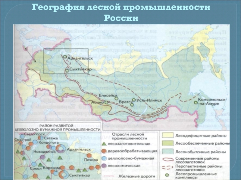 Доклад: Лесная промышленность России