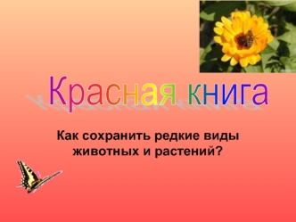 Красная книга