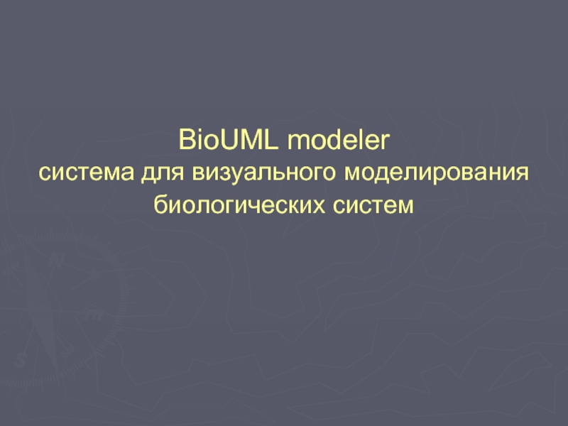 BioUML modeler  система для визуального моделирования биологических систем