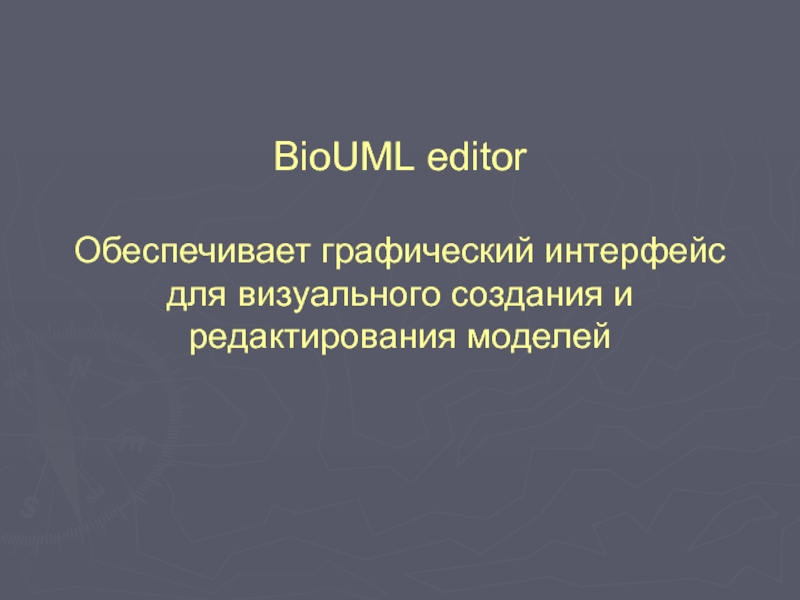 BioUML editor  Обеспечивает графический интерфейс для визуального создания и редактирования моделей