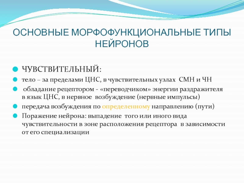 Тело нейрона лежит за пределами цнс. Основные морфофункциональные типы нейронов. Тип нейрона который не выходит за пределы ЦНС. Морфофункциональная характеристика основных типов нейронов. Нервная система на пределе.